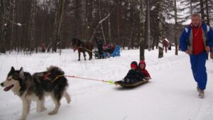 dog-sledding